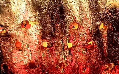 Bamboo Surface Transformations