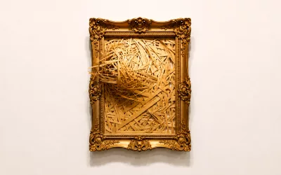 Shape As Structure