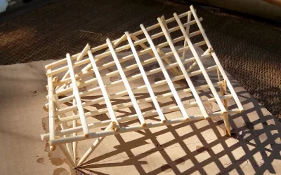 Adventures in Bamboo and Carports: How I Learned to Love the Paraboloid