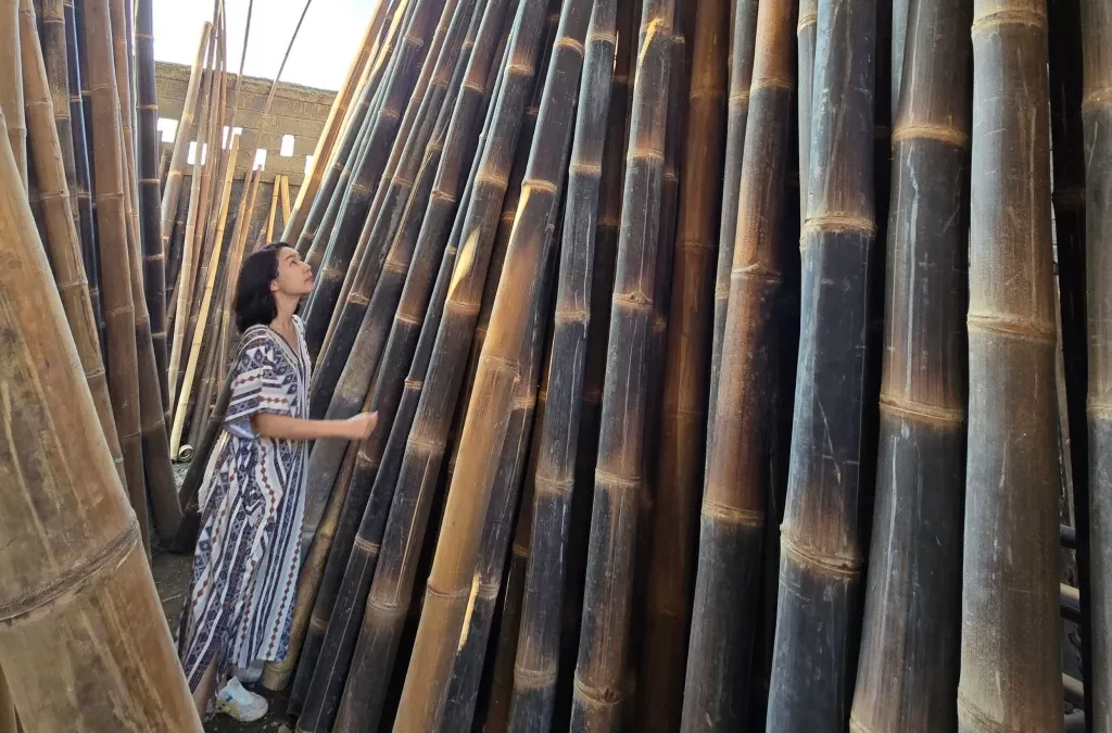 Black, Bold, and Beautiful: The Allure of Black Bamboo