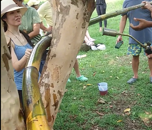 Confessions of a Blowtorch Bender: The Secret Life of Flexible Bamboo